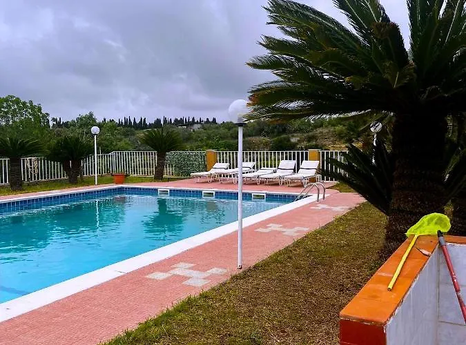 Da Delfo أغنون باني